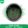 Piston Caliper