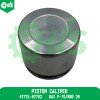 Piston Caliper