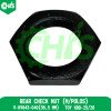 Rear Check Nut (M/Polos)