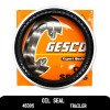 Oil Seal
