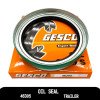 Oil Seal