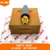 Safety Valve