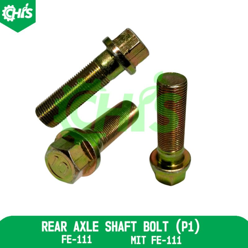 Rear Axle Shaft Bolt (P1)
