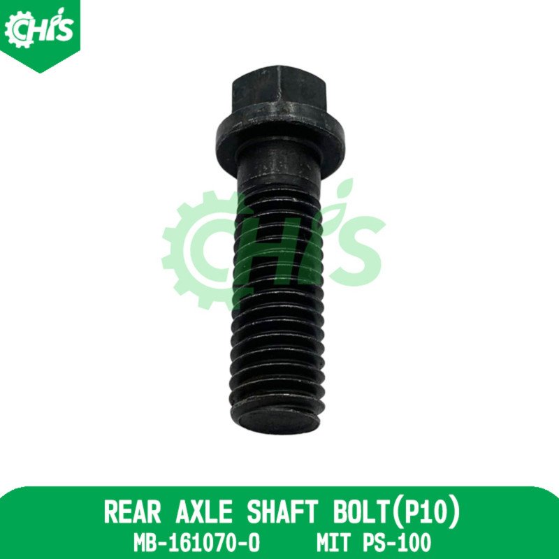 Rear Axle Shaft Bolt (P10)