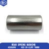 Rear Spring Bushing