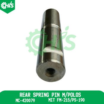 Rear Spring Pin M/Polos