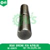 Rear Spring Pin M/Polos