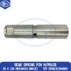 Rear Spring Pin M/Polos