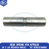 Rear Spring Pin M/Polos