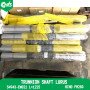 Trunnion Shaft Lurus