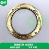 Trunnion Washer