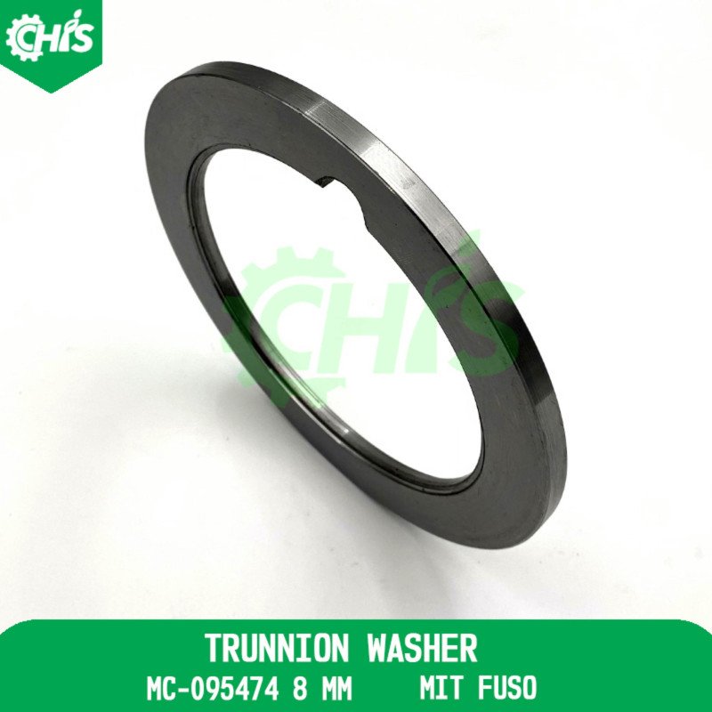 Trunnion Washer