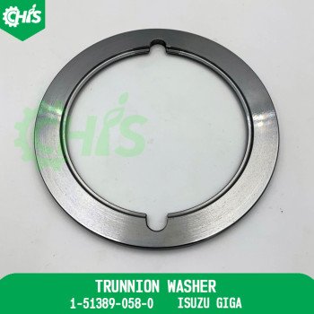 Trunnion Washer