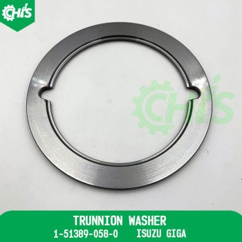 Trunnion Washer