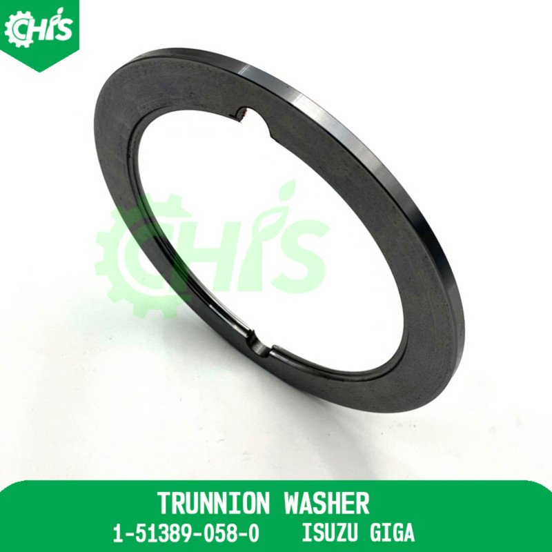 Trunnion Washer